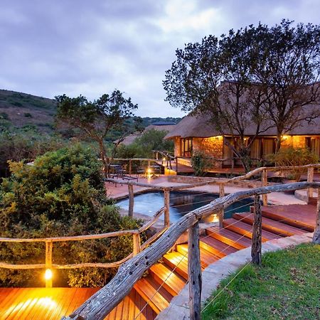 Lalibela Game Reserve Mark'S Camp Grahamstown Eksteriør billede