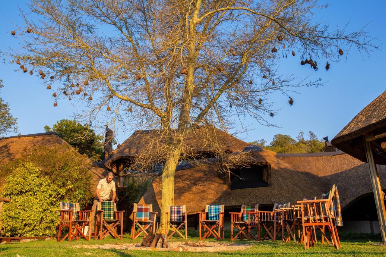 Lalibela Game Reserve Mark'S Camp Grahamstown Eksteriør billede
