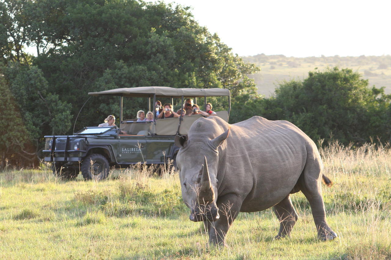 Lalibela Game Reserve Mark'S Camp Grahamstown Eksteriør billede