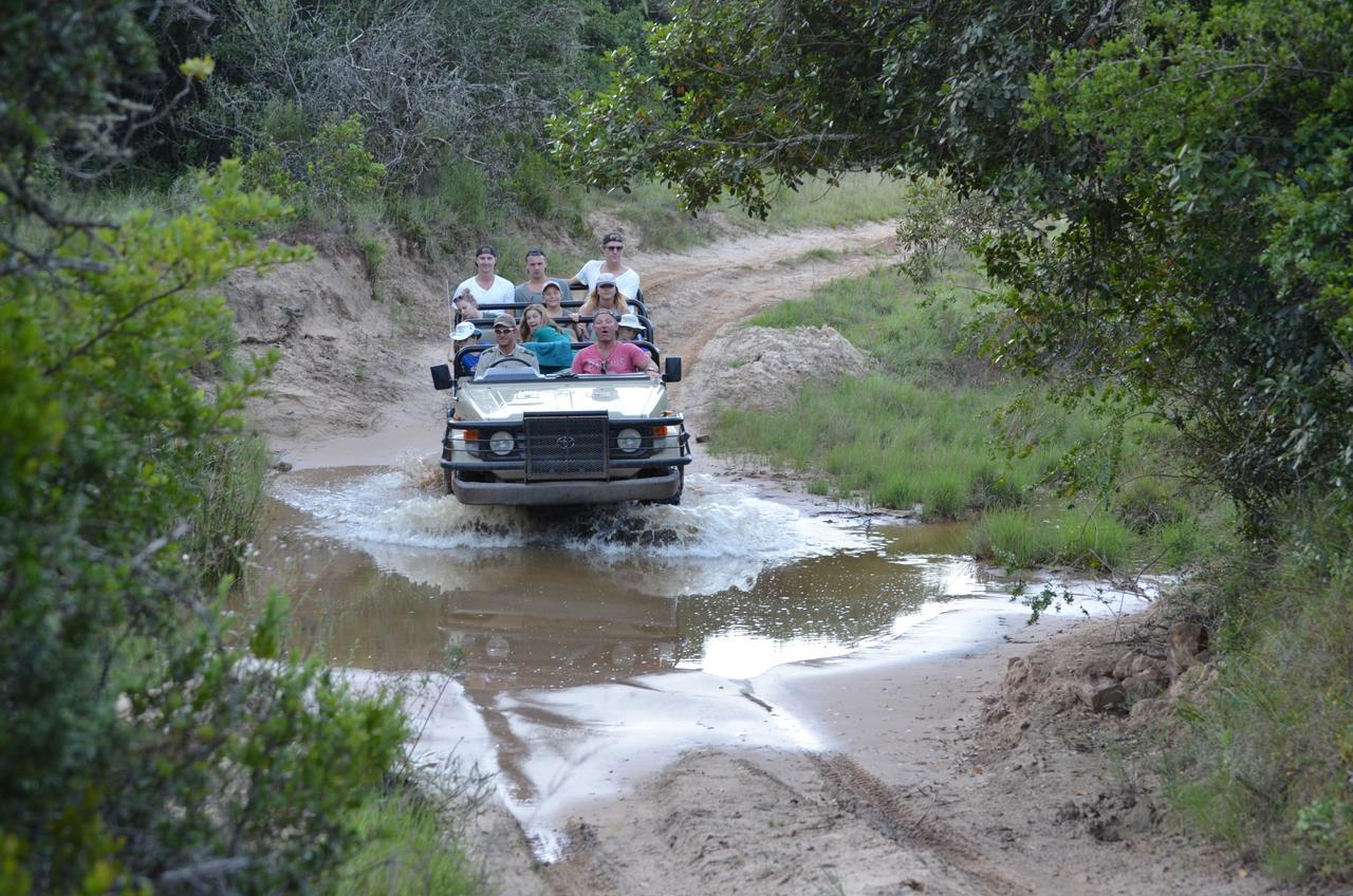 Lalibela Game Reserve Mark'S Camp Grahamstown Eksteriør billede