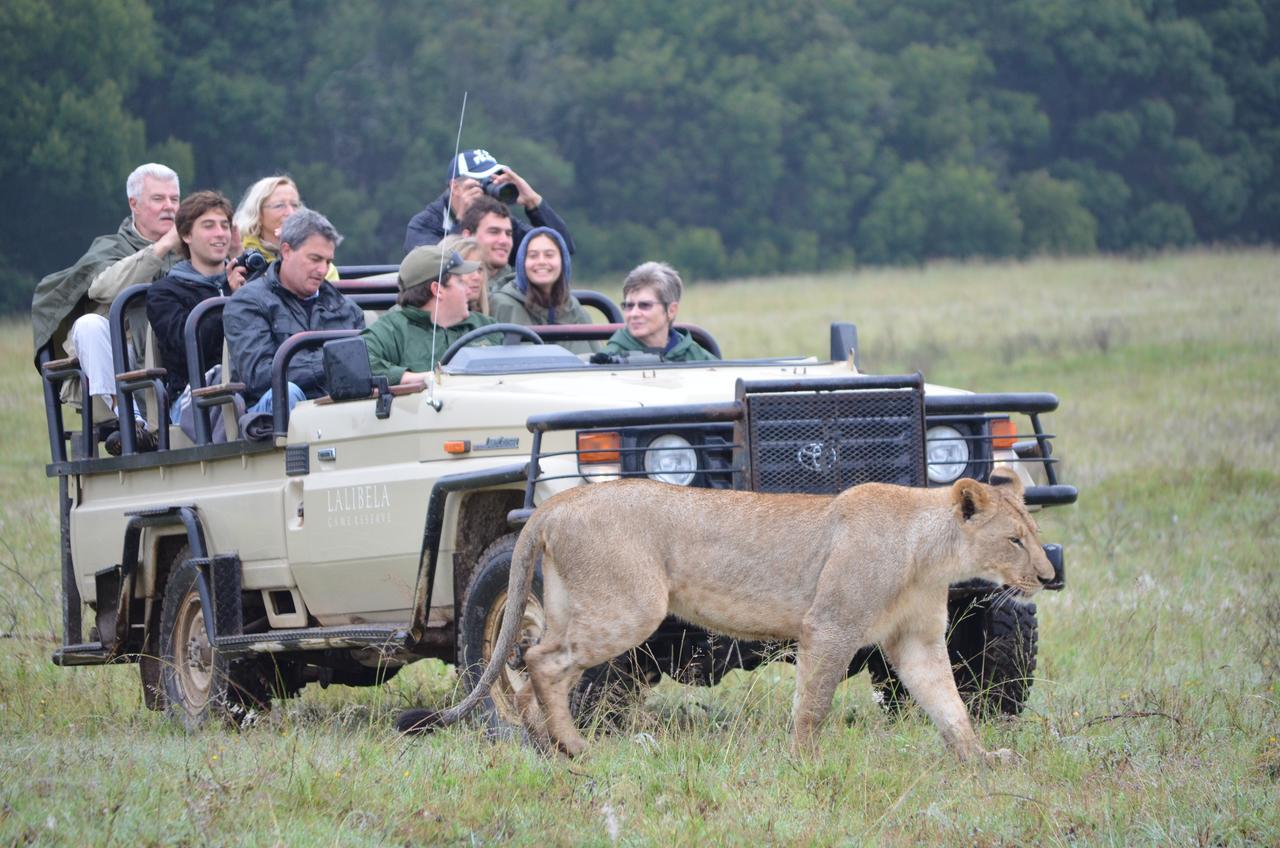 Lalibela Game Reserve Mark'S Camp Grahamstown Eksteriør billede