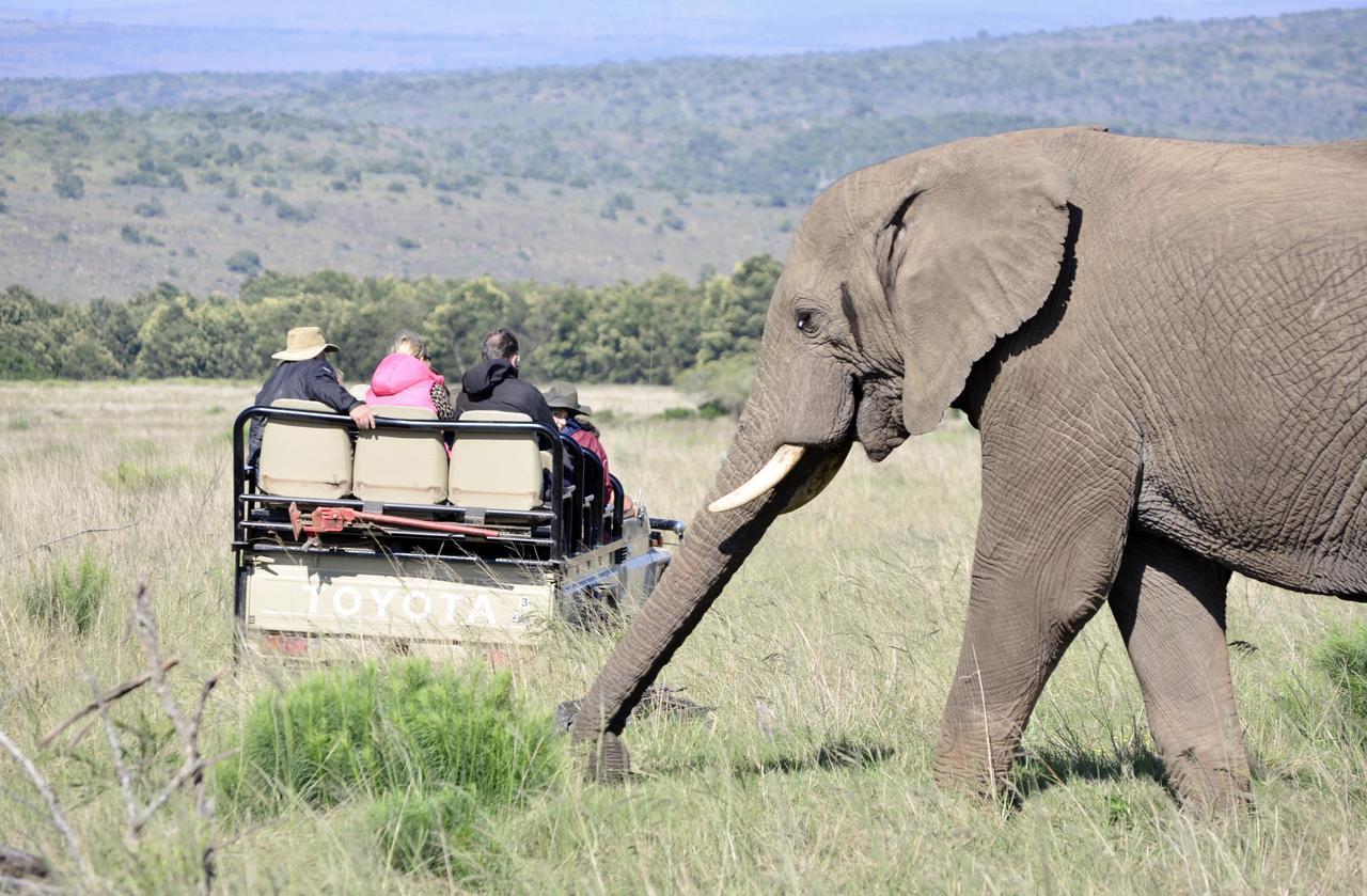 Lalibela Game Reserve Mark'S Camp Grahamstown Eksteriør billede