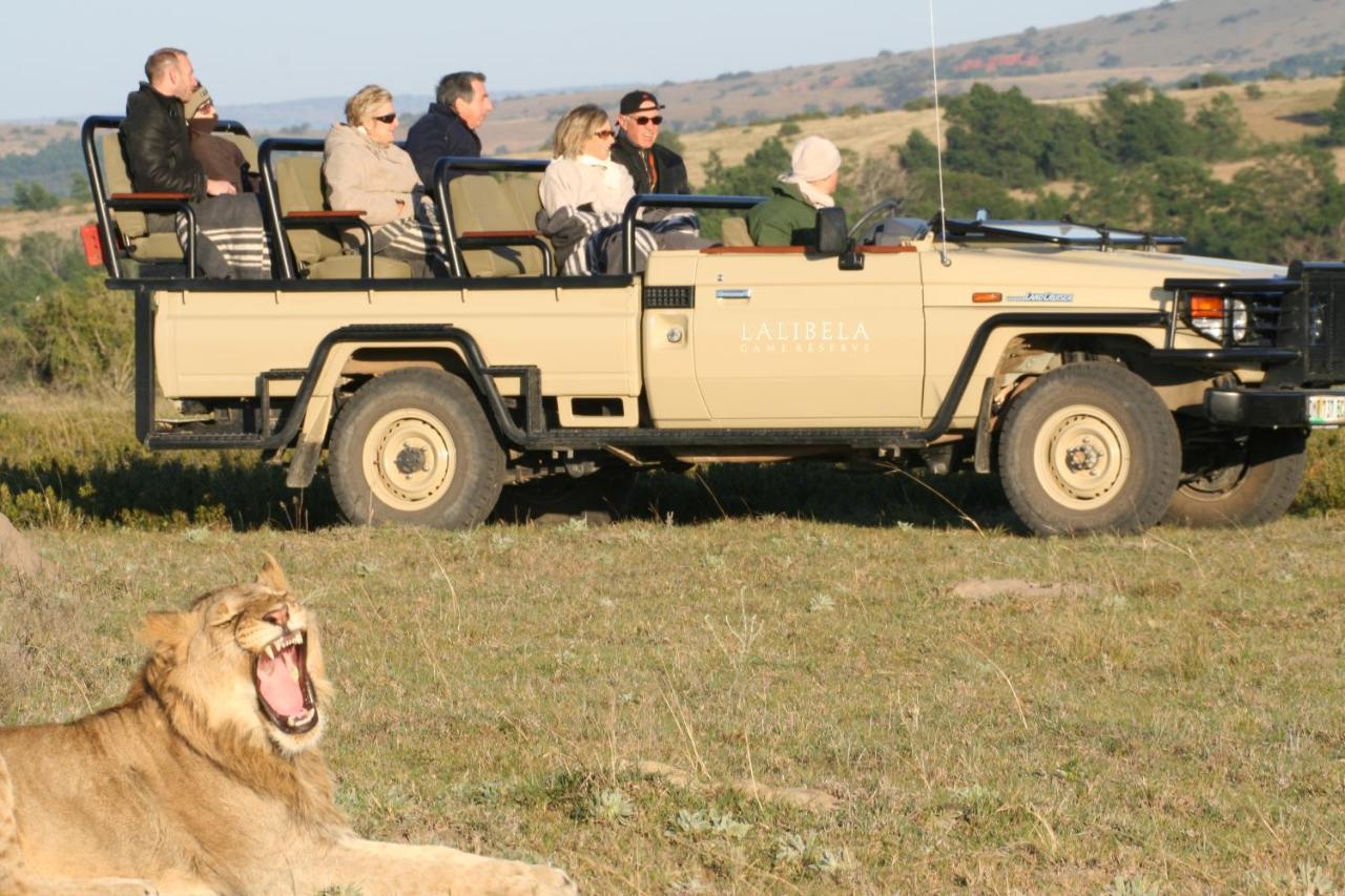 Lalibela Game Reserve Mark'S Camp Grahamstown Eksteriør billede